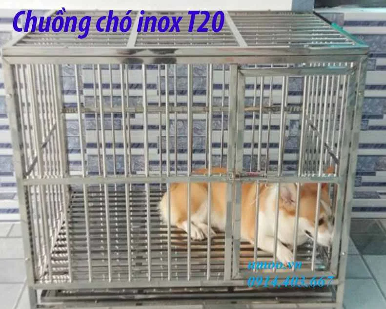 Chuồng chó inox T20 1 chuồng chó inox T20 phù hợp cho chó to 15, 20, 25kg