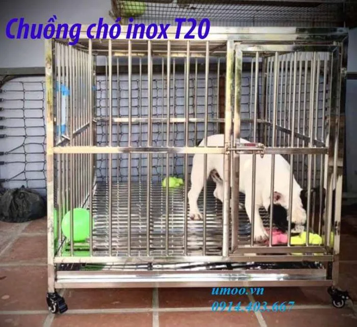 chuồng chó inox T20 phù hợp cho chó to 15, 20, 25kg