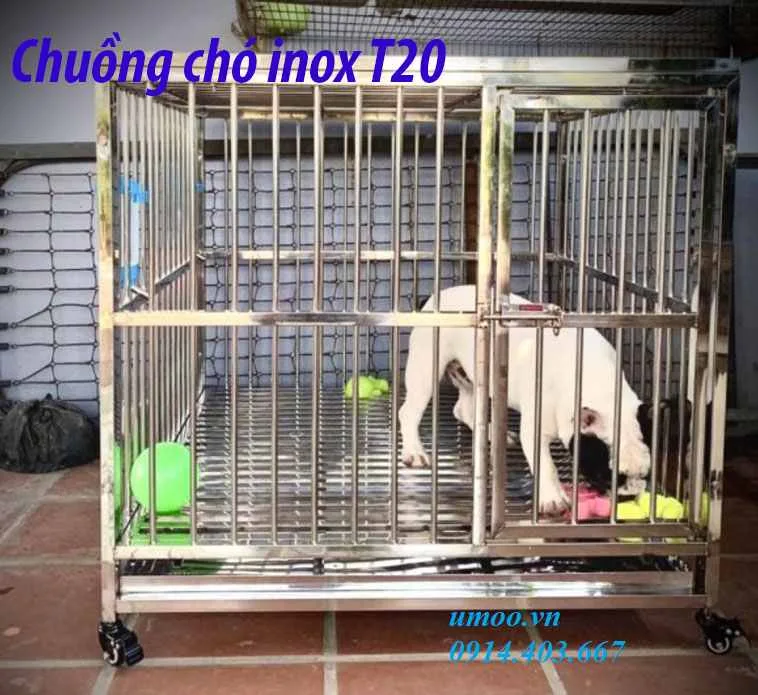 Chuồng chó inox T20 4 chuồng chó inox T20 phù hợp cho chó to 15, 20, 25kg