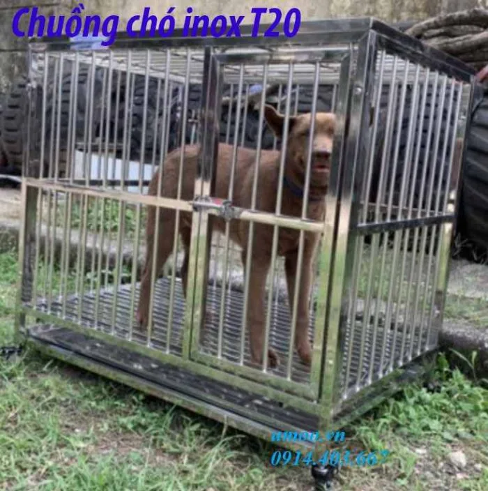 chuồng chó inox T20 phù hợp cho chó to 15, 20, 25kg