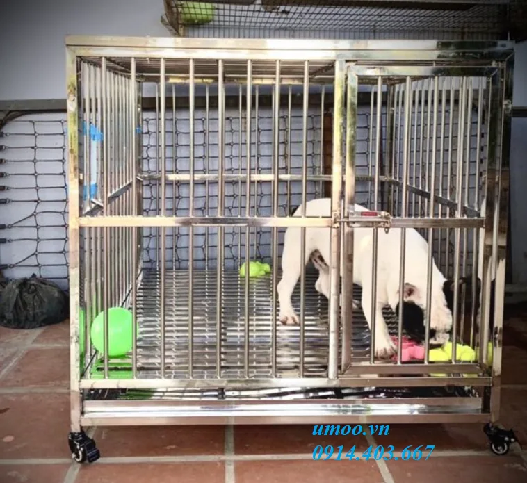 Chuồng chó inox t20 phù hợp cho chó từ 15-25kg