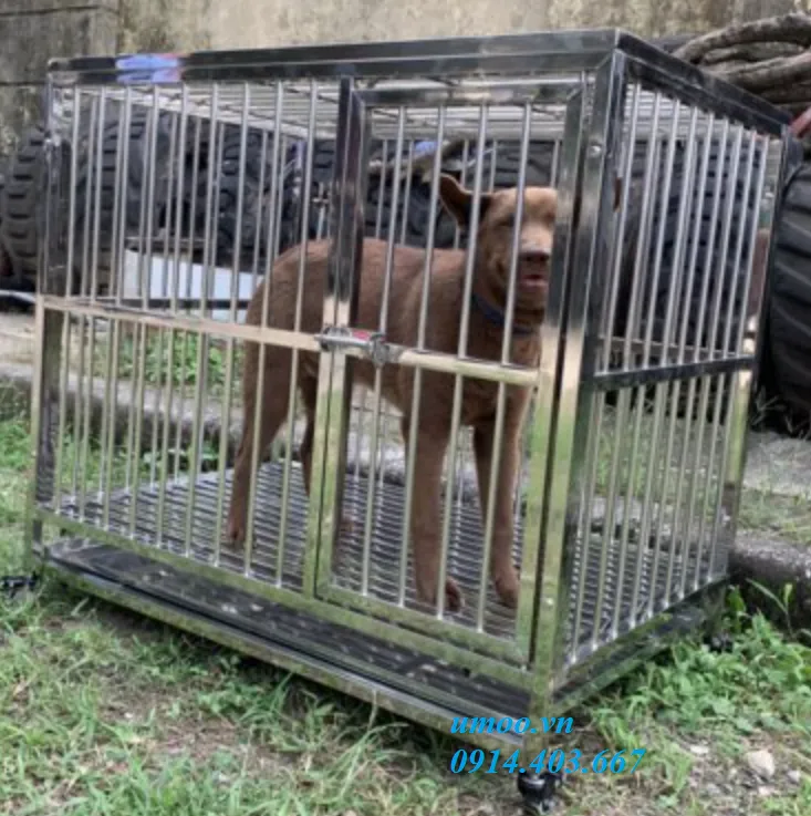 Chuồng chó inox t20 phù hợp cho chó từ 15-25kg