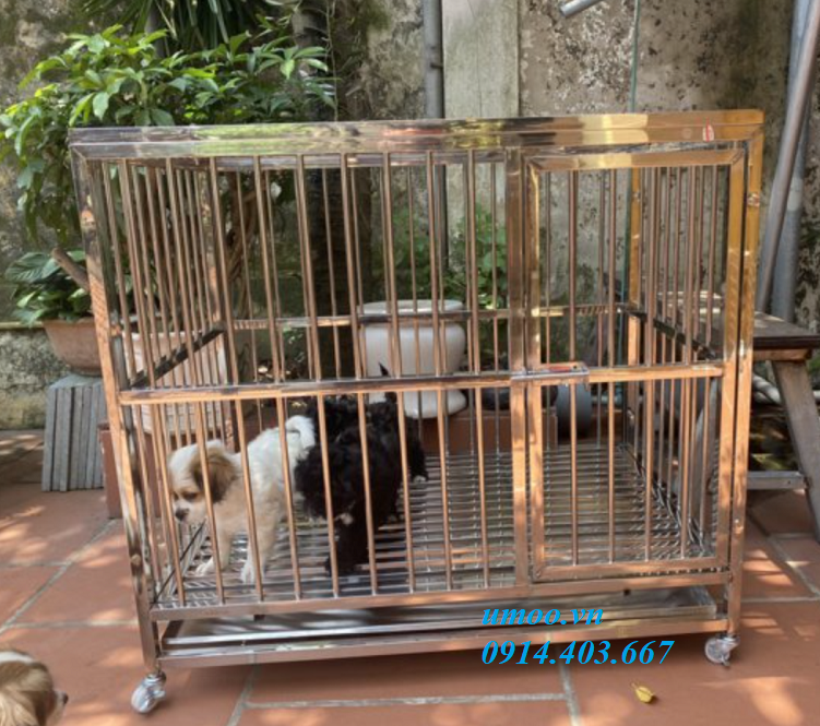 Chuồng chó inox t20 phù hợp cho chó từ 15-25kg
