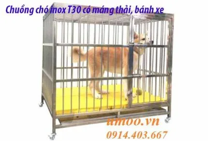 Chuồng chó inox T30 có máng thải, có bánh xe