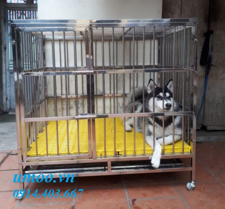 Chuồng chó inox T40 dùng cho chó từ 20kg đến 40kg Chuồng chó inox T40 dùng cho chó từ 20kg đến 40kg