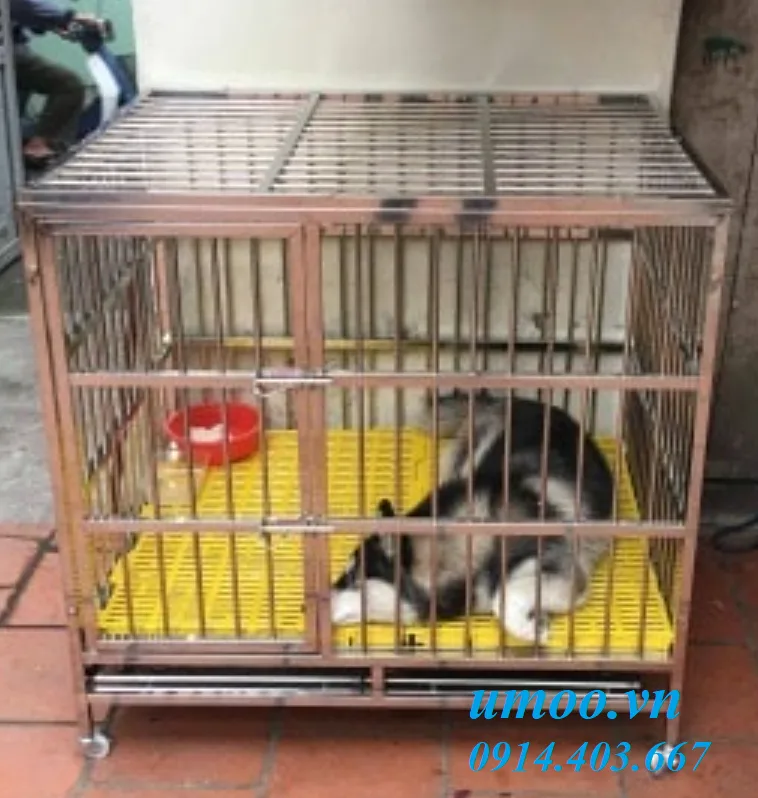 Chuồng chó inox T40 dùng cho chó từ 20kg đến 40kg