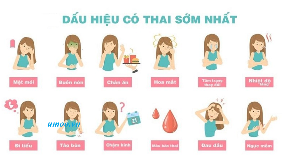 Nhận biết 10 dấu hiệu mang thai sớm, có thai sớm nhanh nhất