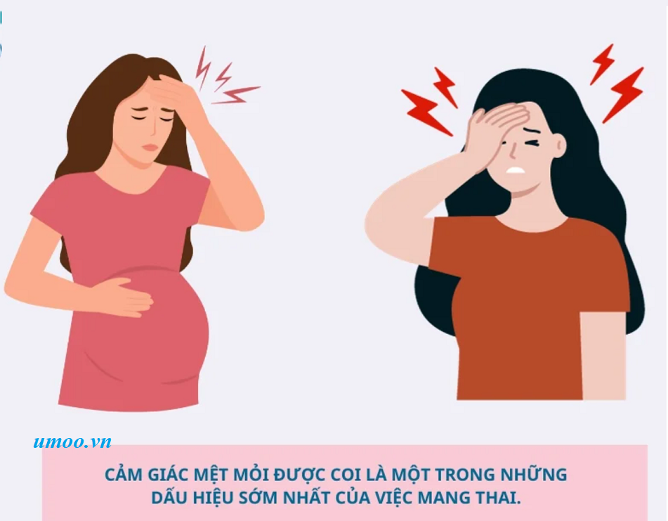 Nhận biết 10 dấu hiệu mang thai sớm, có thai sớm - cảm giác mệt mỏi