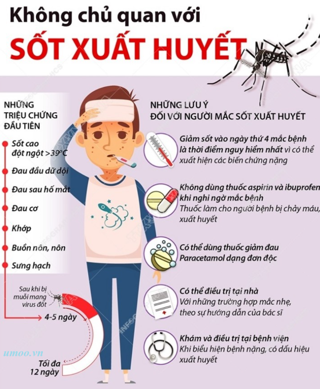 Sốt xuất huyết gia tăng tại TP HCM khi bước vào mua mưa