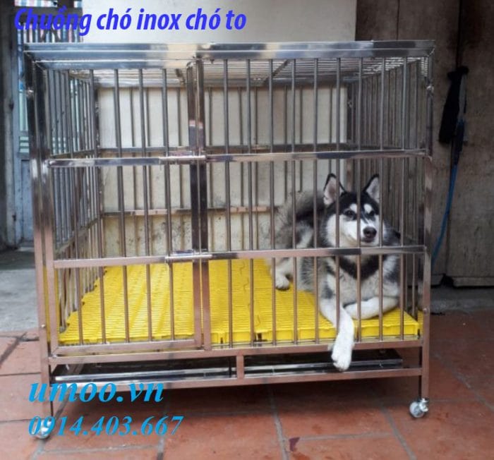 Chuồng chó inox tại Hà Nội, chuồng inox cho chó to