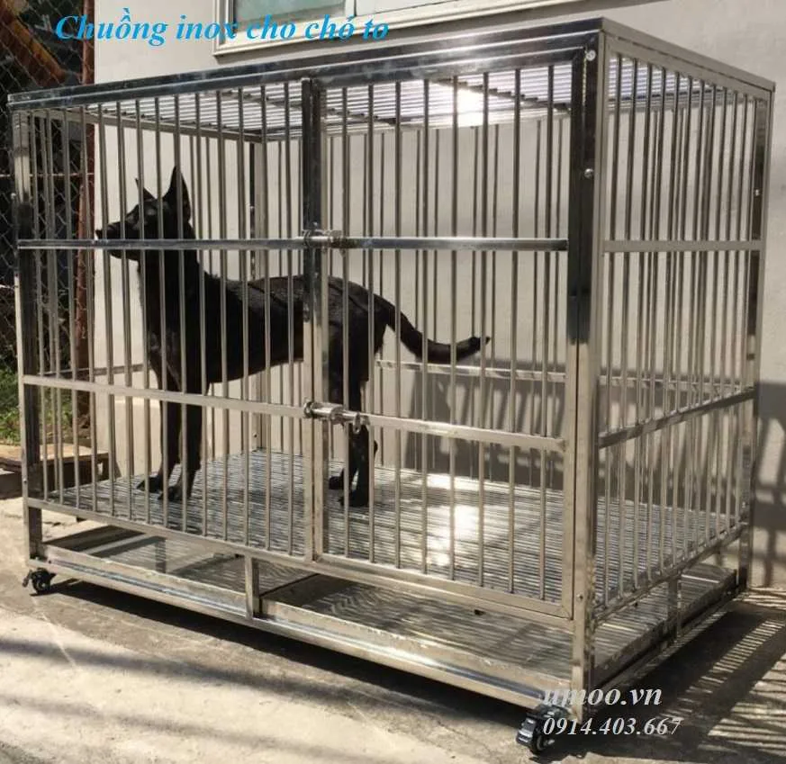 Chuồng chó to inox T50 3 Chuồng chó to inox T50 cho chó từ 30-50kg